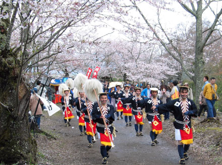 冈城樱花祭